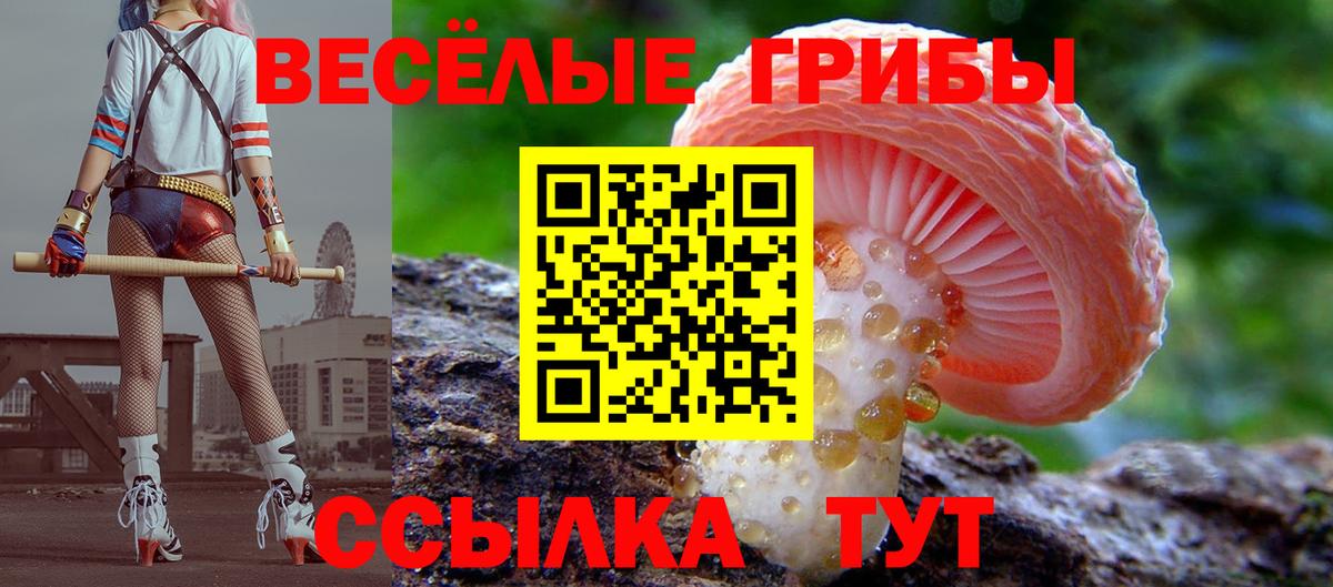 Галлюциногенные грибы GOLDEN TEACHER  Вход с VPN  Чистополь 