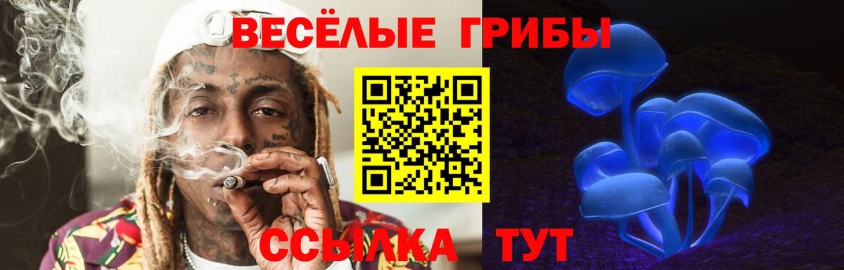 Галлюциногенные грибы Magic Shrooms Чистополь